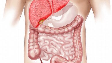 Lebererkrankungen: Ursachen, Symptome und Behandlung