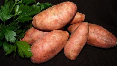Süßkartoffeln - Zubereitungstipps, gesundheitliche Vorteile und Rezepte