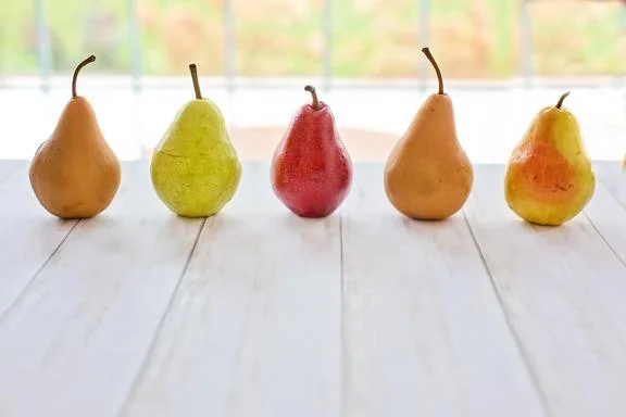 Birne Lagerung: Tipps und Tricks für die perfekte Aufbewahrung 2 Birnensorten