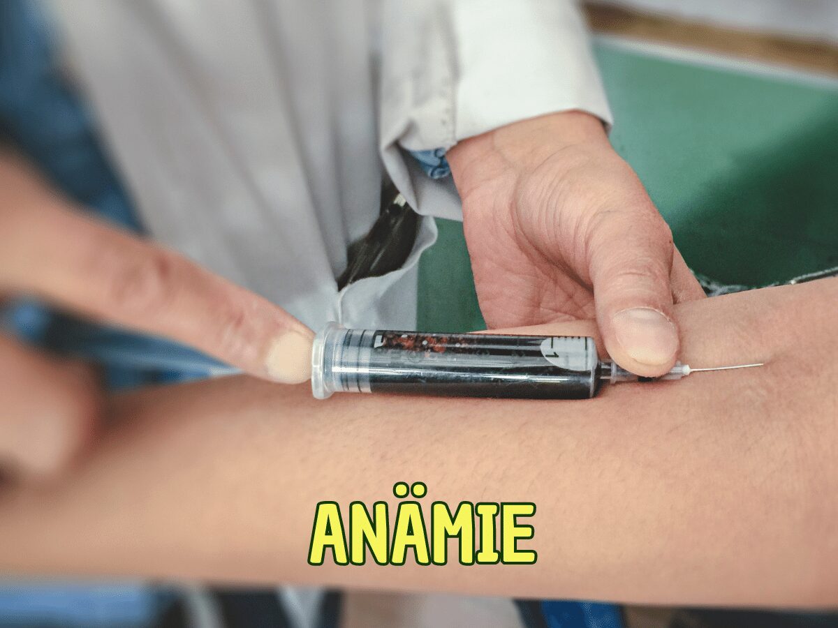 Anämie .Frau wird Blut abgenommen